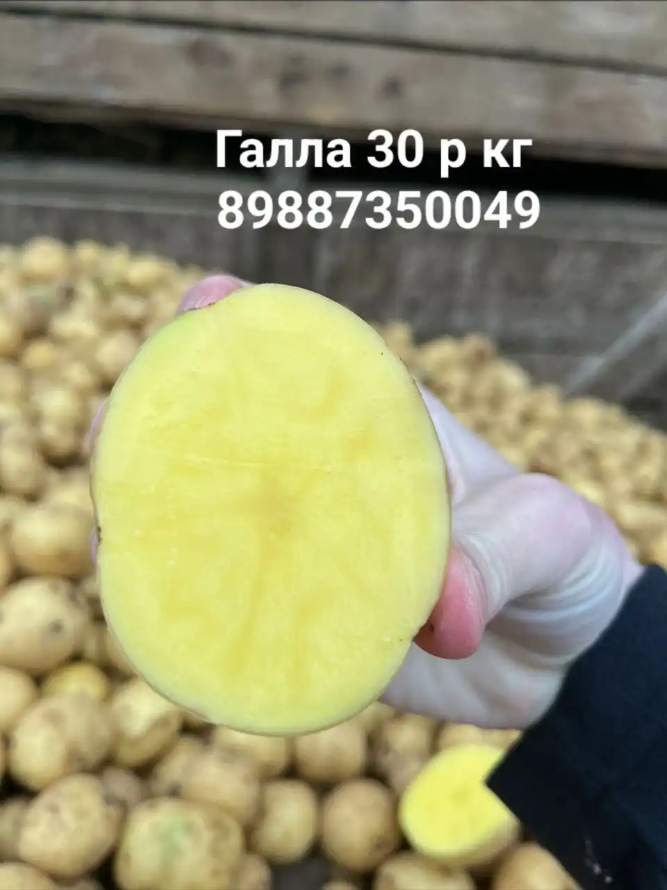 Продажа овощей и фруктов: картофель, капуста, лук, морковь, мандарины, яблоки