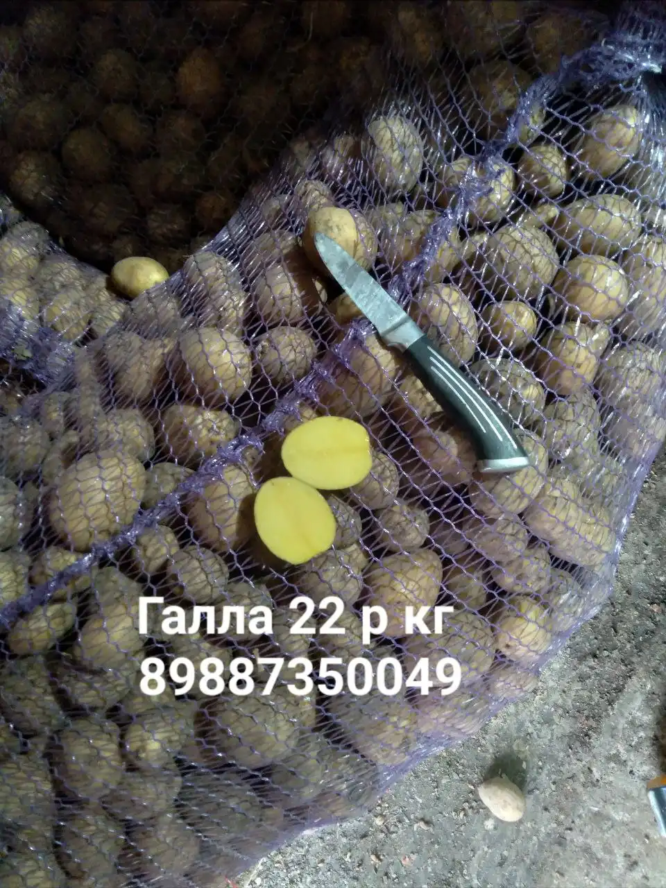 Продажа овощей и фруктов: картофель, капуста, лук, морковь, мандарины, яблоки