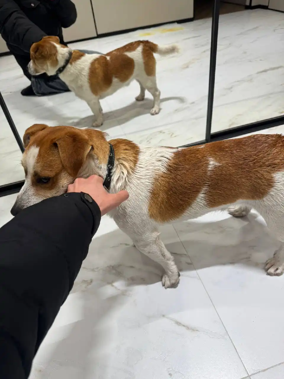 Потерялся мальчик в Ставрополе