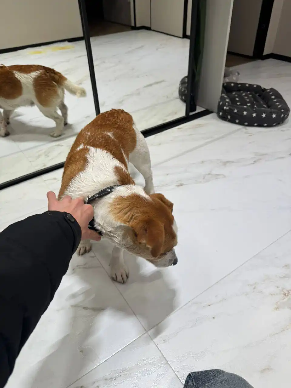 Потерялся мальчик в Ставрополе