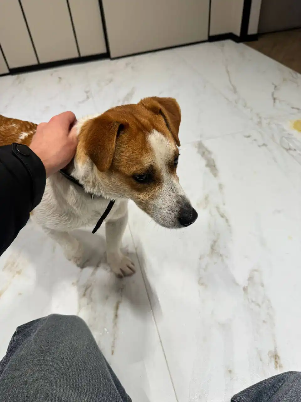 Потерялся мальчик в Ставрополе