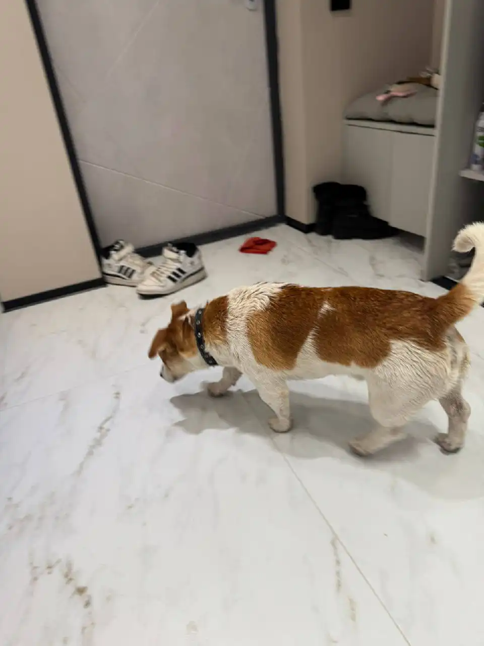 Потерялся мальчик в Ставрополе