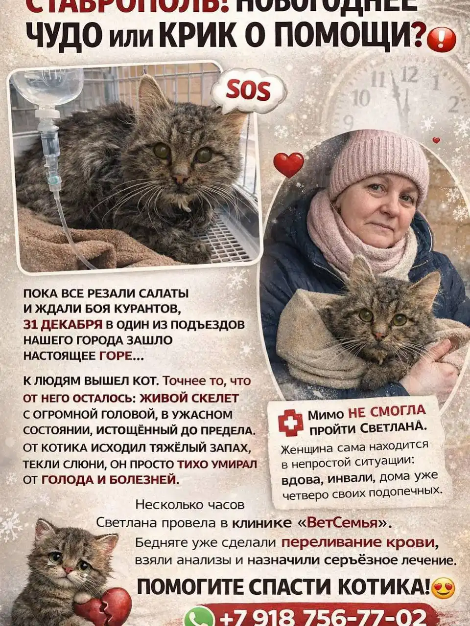 Услуги и объявления в Ставрополе