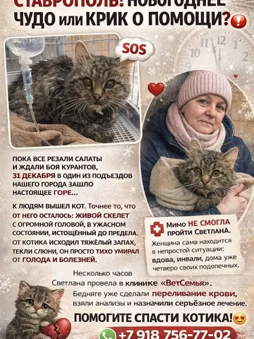 Услуги и объявления в Ставрополе - Недвижимость в Ставрополь