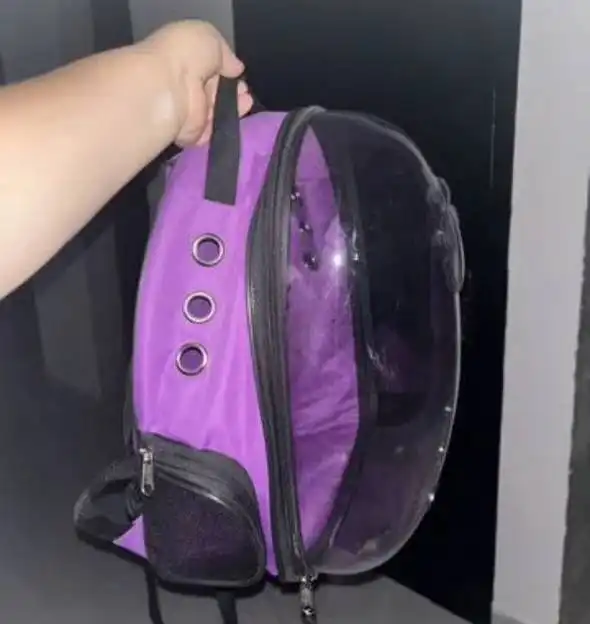 Рюкзаки и домик для собаки