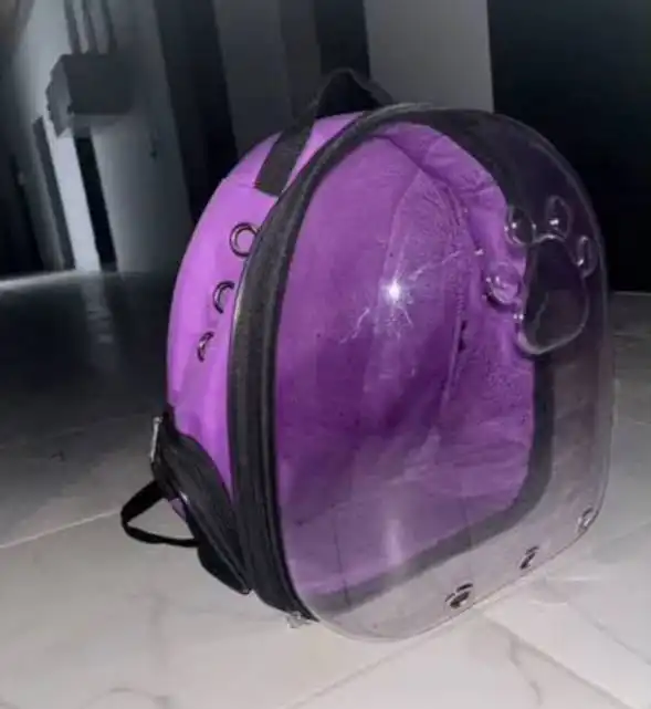 Рюкзаки и домик для собаки