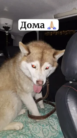 Объявление из городского чата Ставрополя - Продукты питания в Ставрополь