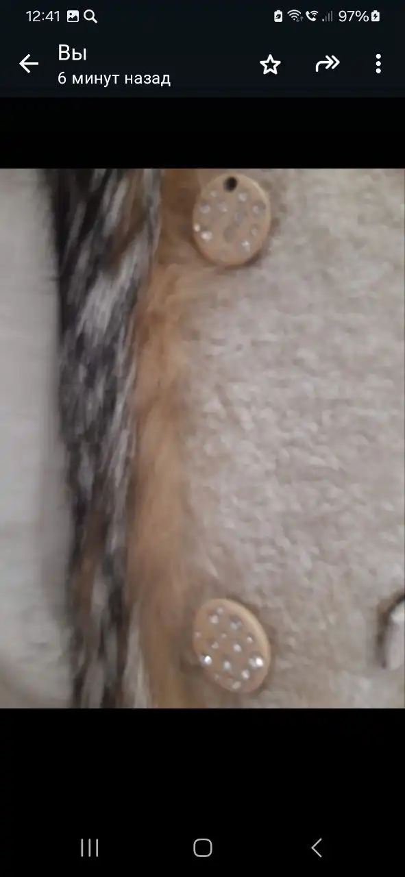 Натуральная шубка 46-48 размер - Верхняя одежда (Одежда) в Ставрополь