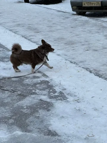 Продам видеокарту Gigabyte GeForce RTX 3070 Gaming OC - Компьютерная техника в Ставрополь