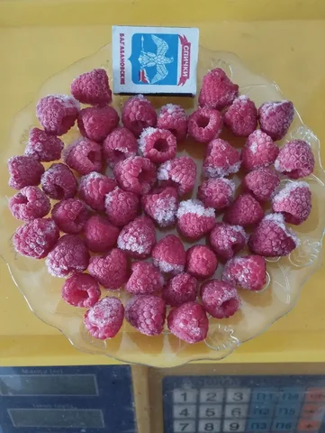Продам замороженную малину - Велосипеды в Ставрополь