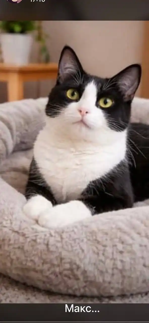 Поиск дома - Дома (Недвижимость) в Ставрополь