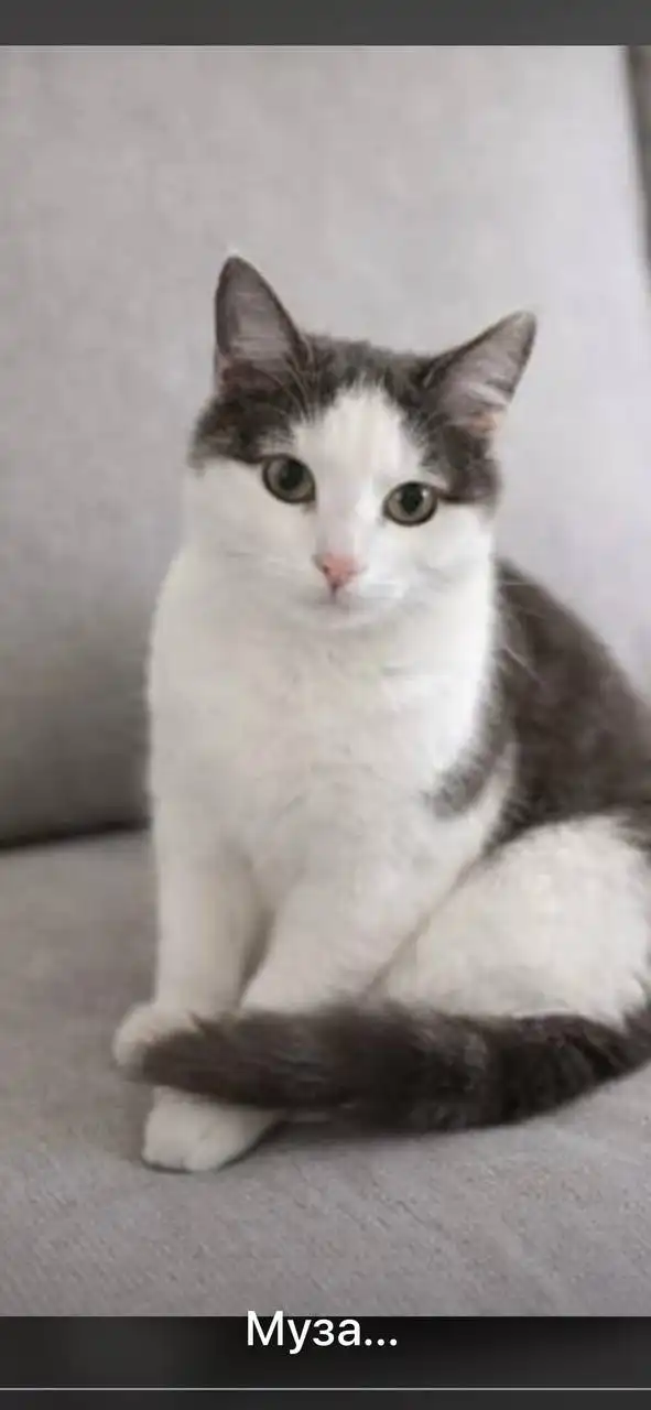 Поиск дома - Дома (Недвижимость) в Ставрополь