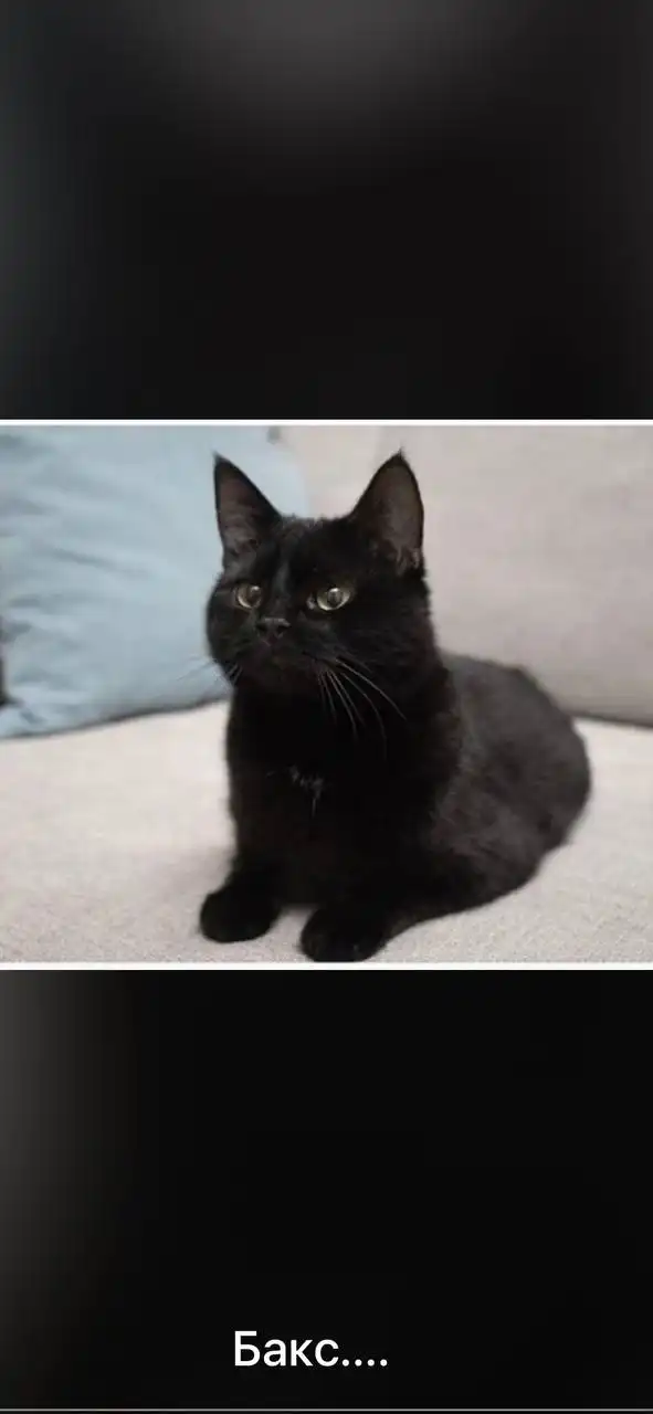 Поиск дома - Дома (Недвижимость) в Ставрополь