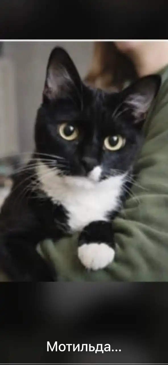 Поиск дома - Дома (Недвижимость) в Ставрополь