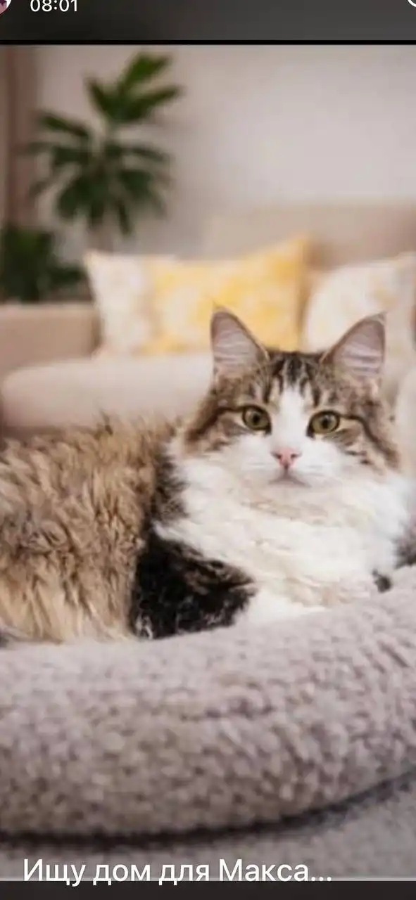 Поиск дома - Дома (Недвижимость) в Ставрополь