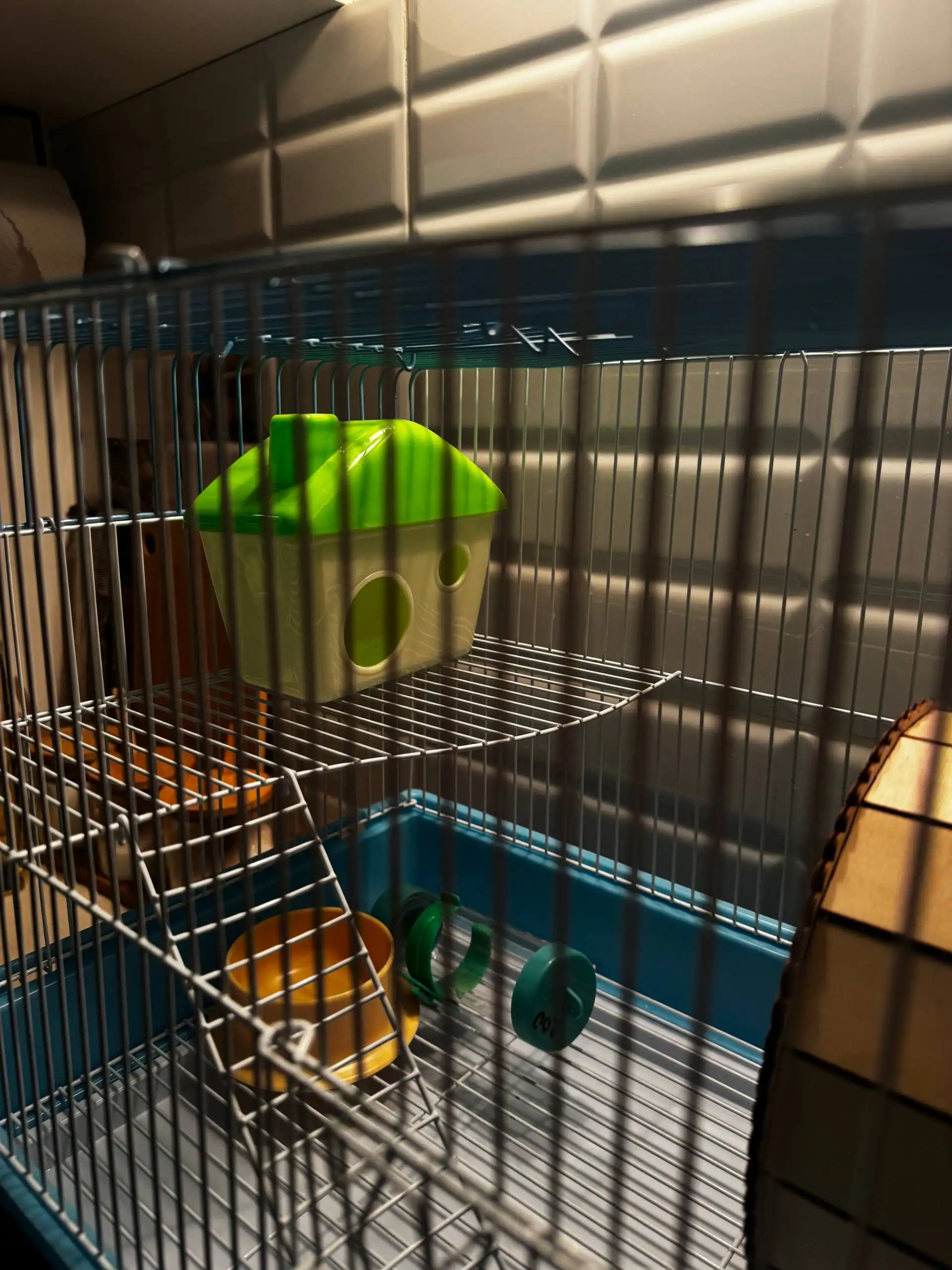 Двухэтажная клетка для грызунов с аксессуарами - Товары для животных (Животные) в Михайловск