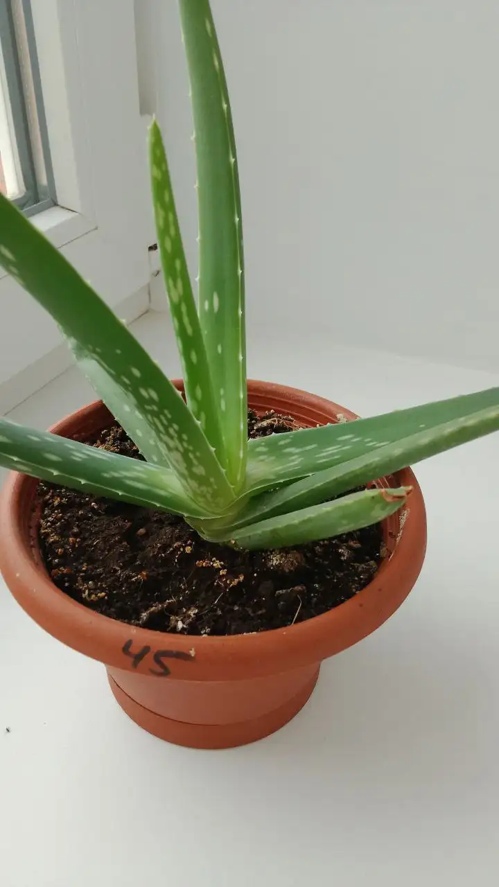 Продам писать в ЛС - Барахолка в Ставрополь