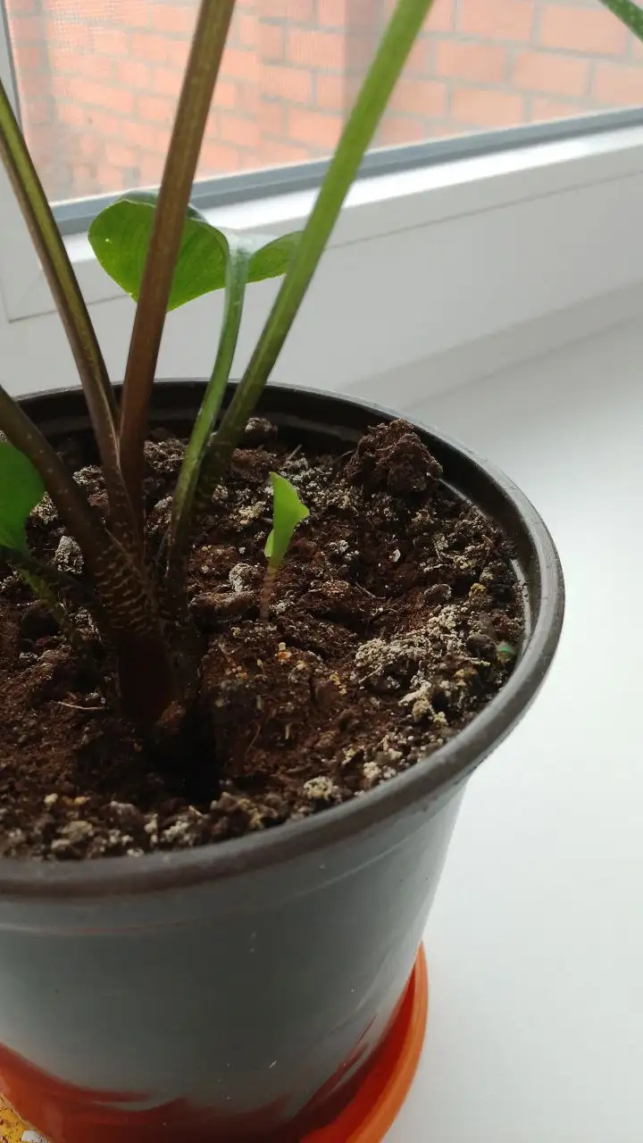 Продам писать в ЛС - Барахолка в Ставрополь