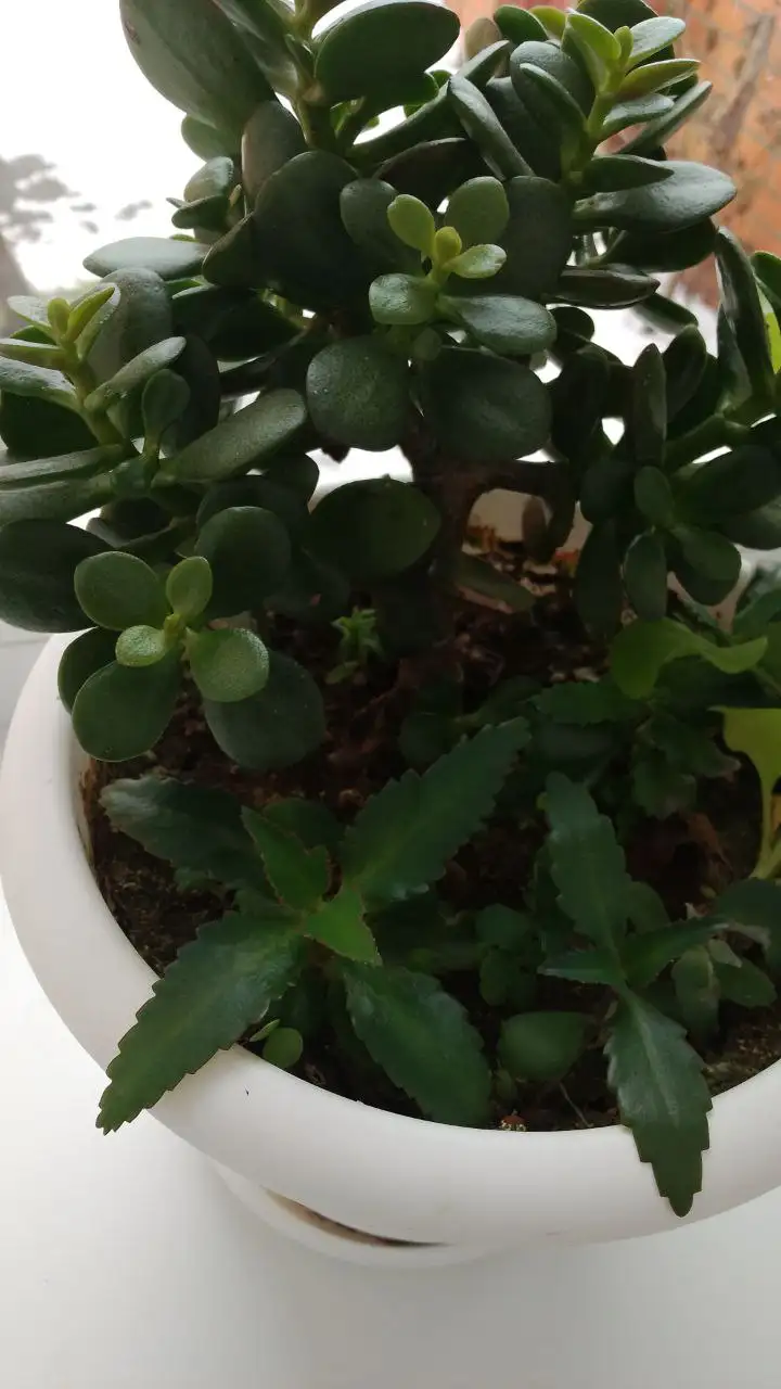 Продам писать в ЛС - Барахолка в Ставрополь