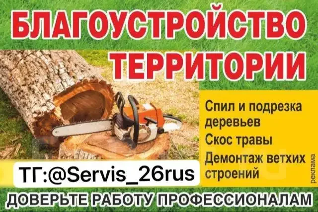Спил деревьев и уборка территорий - Услуги в Ставрополь