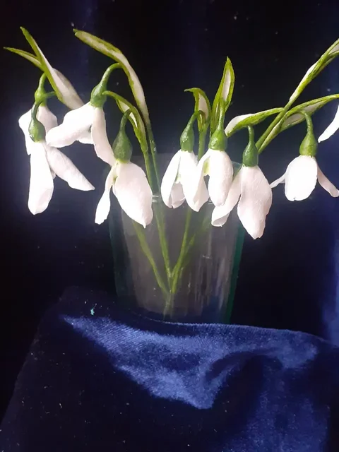 Цветы из холодного фарфора ручной работы - Хобби и отдых в Ставрополь