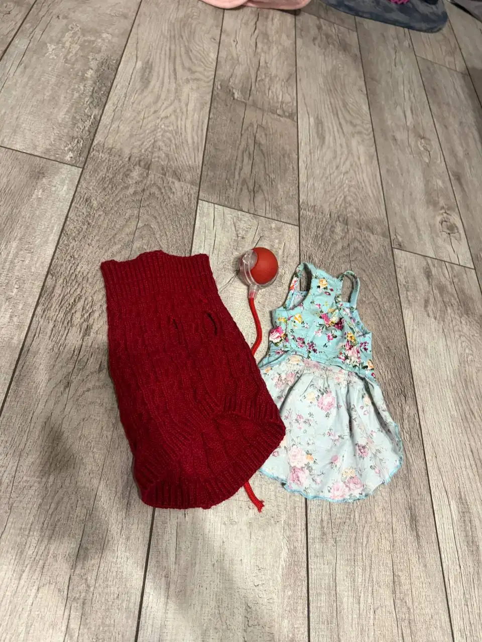 Набор вещей для животных - Аксессуары для животных (Животные) в Ставрополь