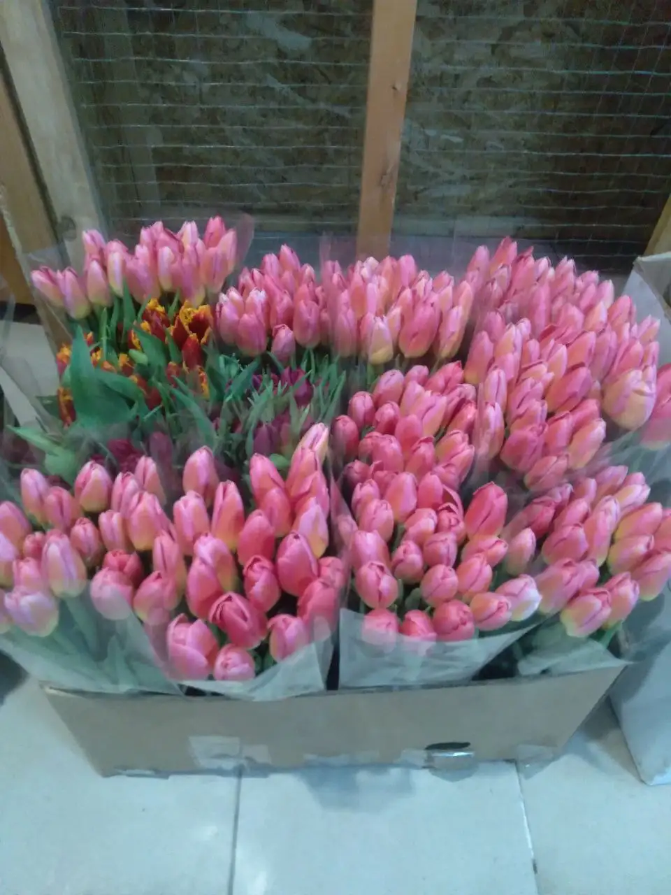 Оригинальная печать для документов в Ставрополе - Полиграфия / Печать (Услуги) в Ставрополь