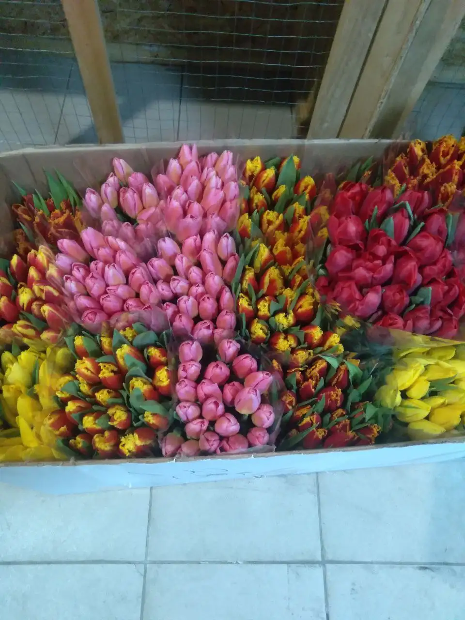 Оригинальная печать для документов в Ставрополе - Полиграфия / Печать (Услуги) в Ставрополь