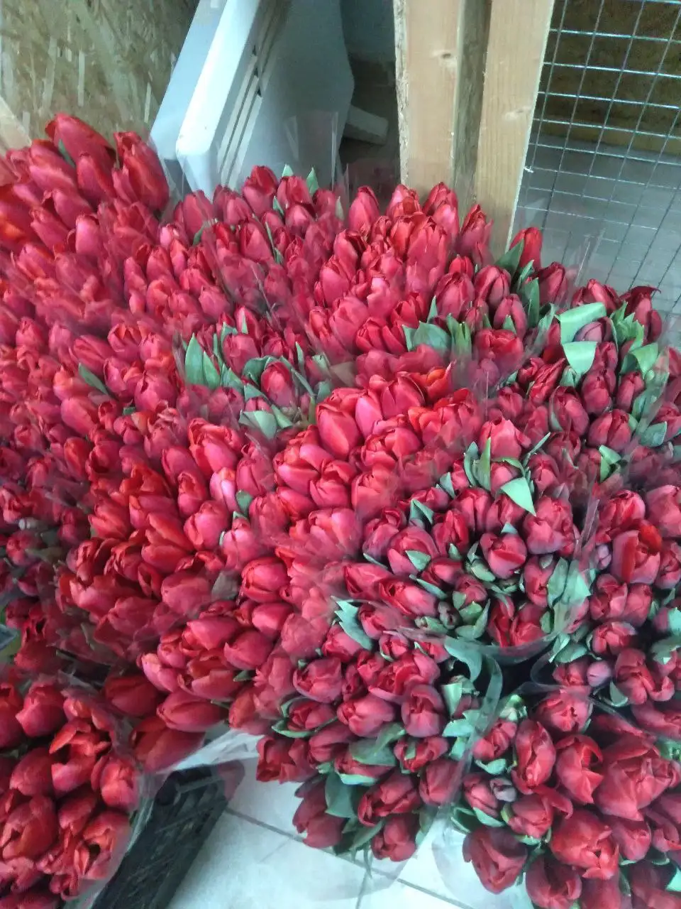 Оригинальная печать для документов в Ставрополе - Полиграфия / Печать (Услуги) в Ставрополь