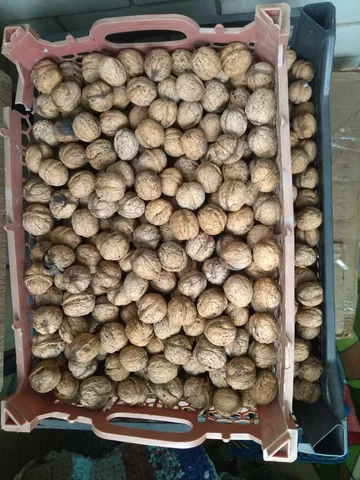 Продам грецкий орех - Барахолка в Ставрополь