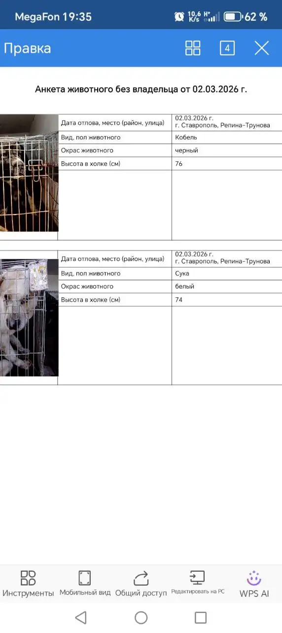 Продажа велосипедов в Ставрополе - Велосипеды (Хобби и отдых) в Ставрополь