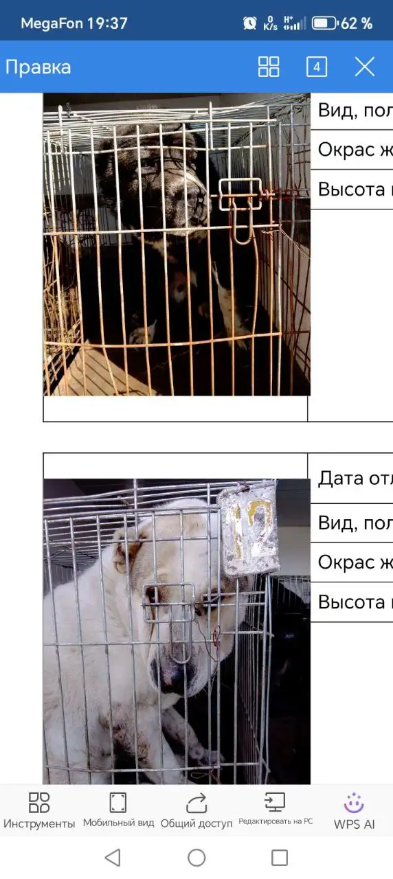 Продажа велосипедов в Ставрополе - Велосипеды (Хобби и отдых) в Ставрополь