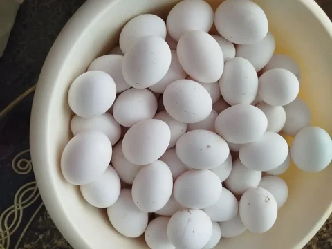 Домашние куриные яйца - Двери в Ставрополь