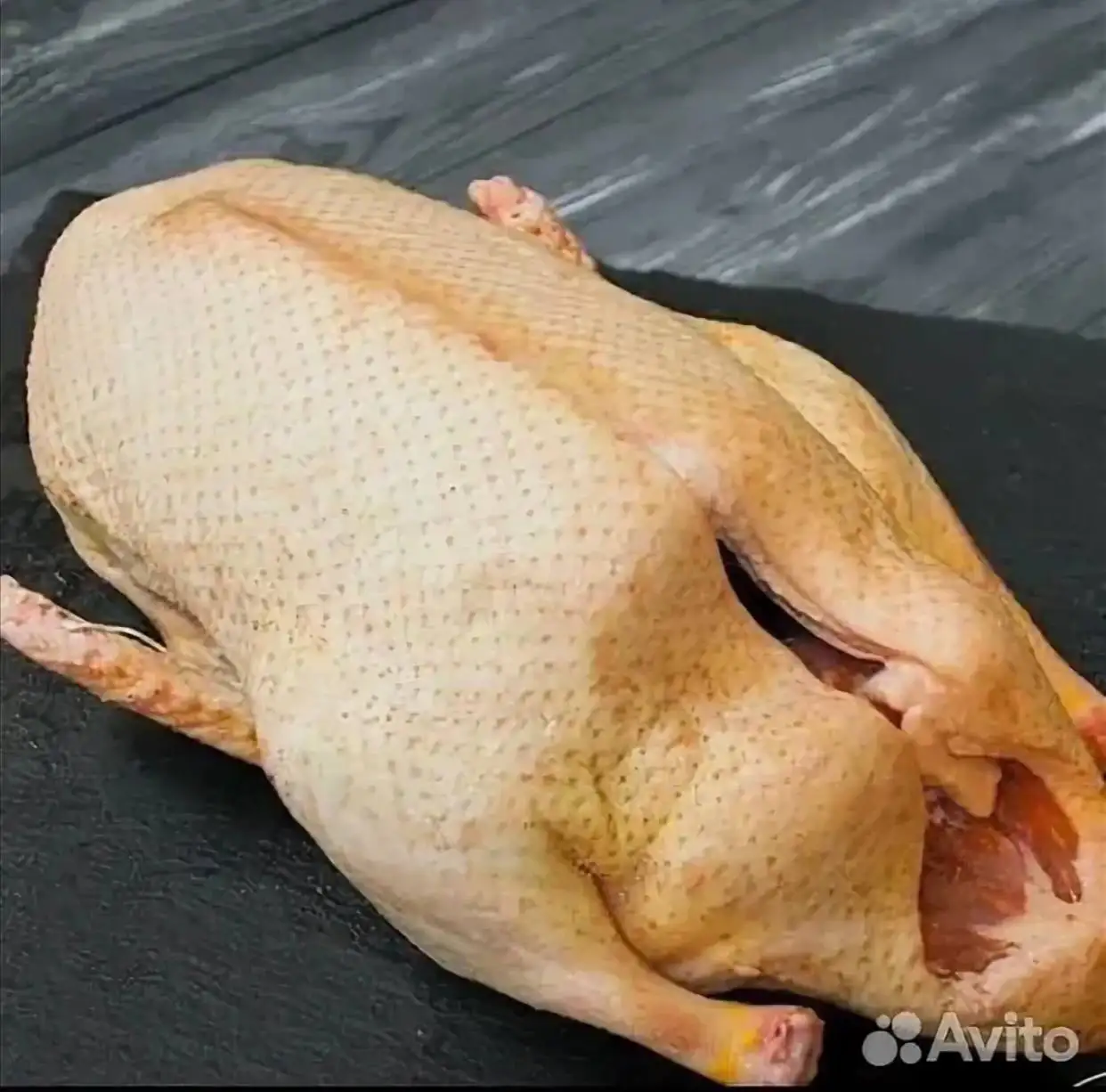 Продажа домашних индоуток - Птица (Животные) в Ставрополь