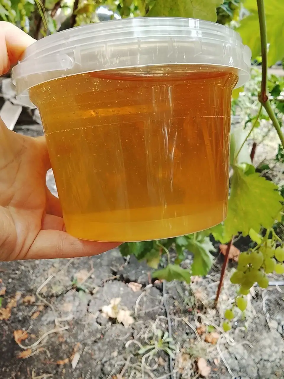 Продажа натурального мёда с семейной пасеки - Продукты питания (Барахолка) в Ставрополь