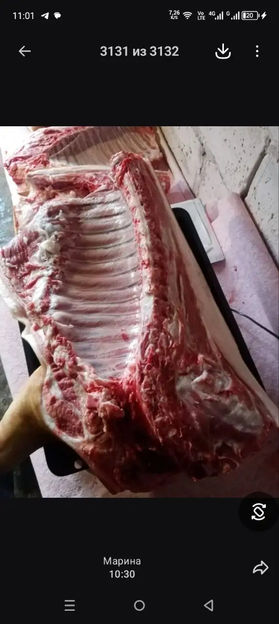 Продажа домашней свинины в Ставрополе - Продукты питания (Барахолка) в Ставрополь