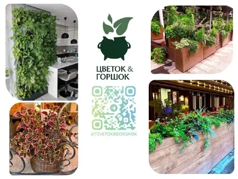 Студия фитодизайна "Цветок и горшок" - озеленение и уход за растениями - Аренда инструмента в Ставрополь
