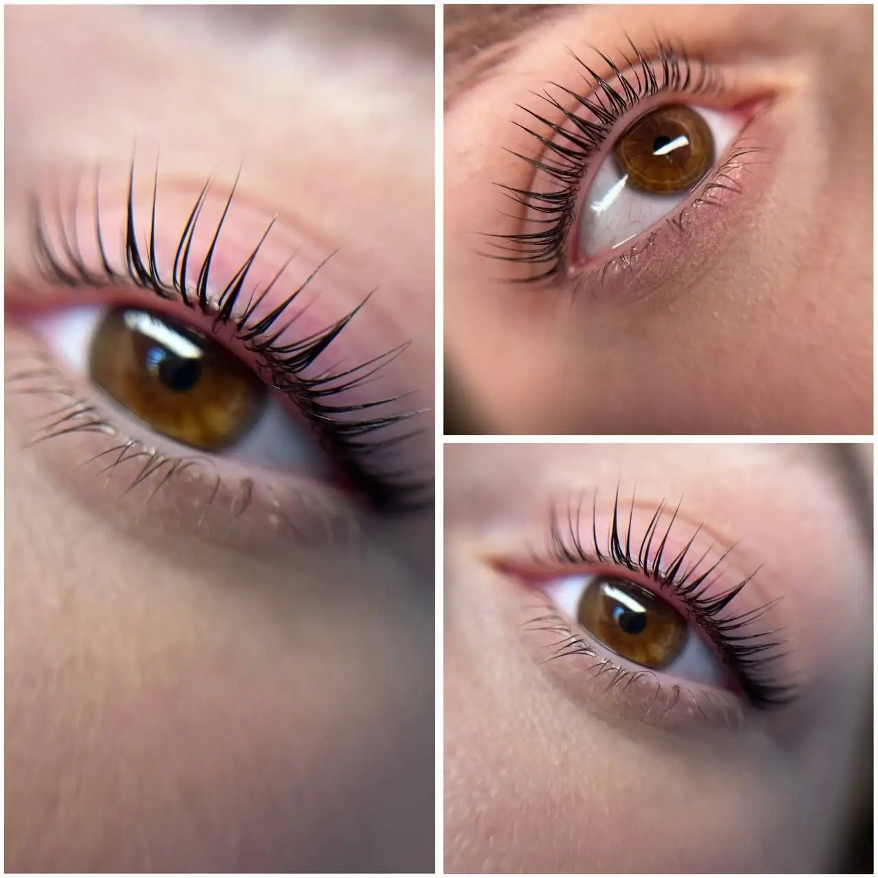 Услуги мастера ламинирования ресниц и бровей - Красота и здоровье (Услуги) в Ставрополь