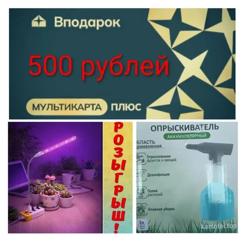 Розыгрыш для любителей растений - частное объявление в Ставрополь