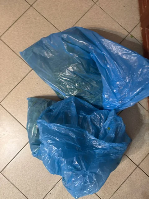 Продам рукколу - Яйца в Ставрополь