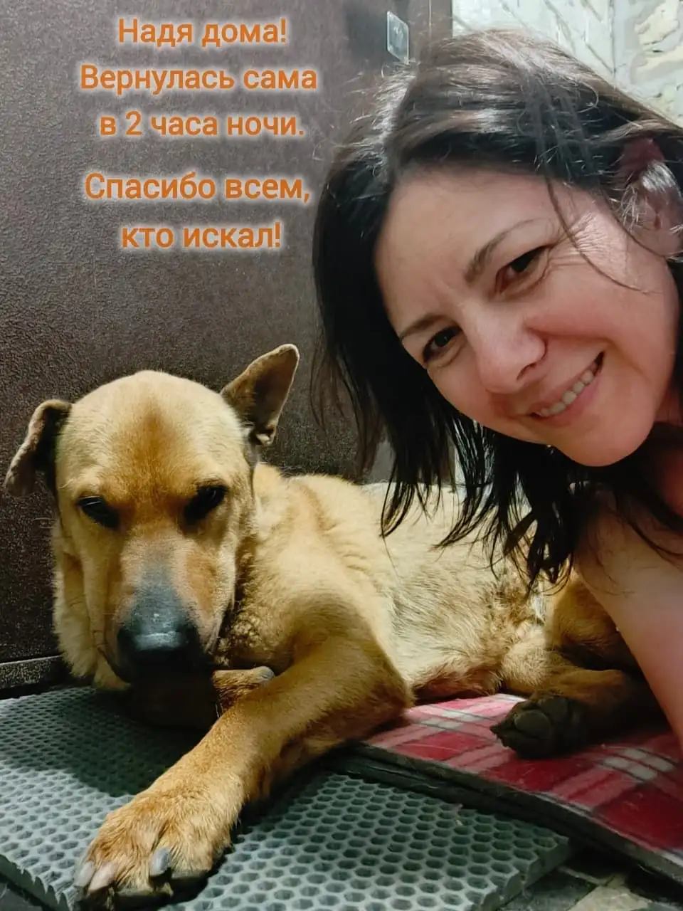 Объявление - Услуги в Ставрополь
