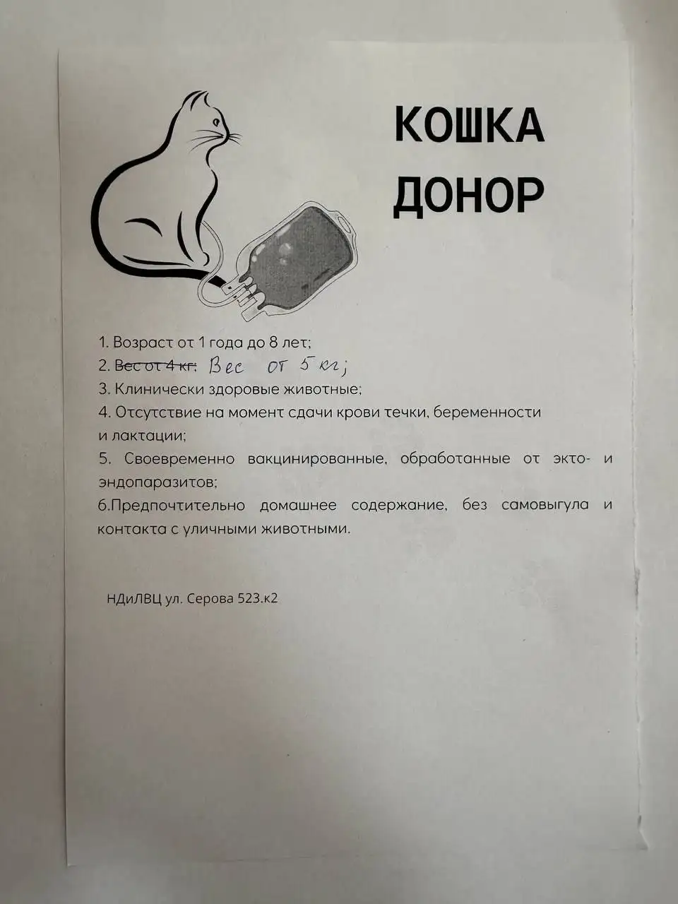 Срочно требуется кошка-донор - Услуги в Ставрополь