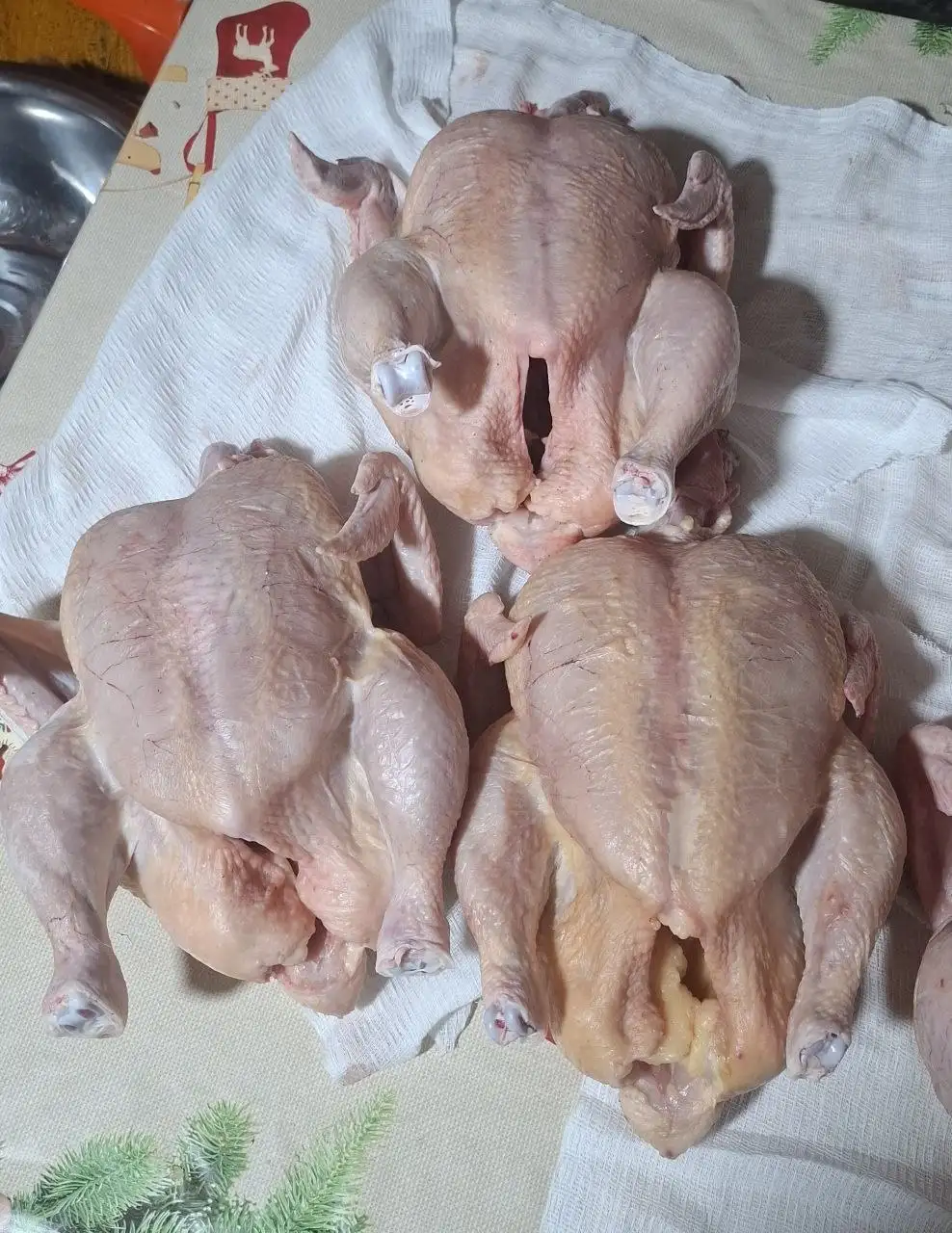 Продам мясо домашнего бройлера - Мясо и птица (Продукты питания) в Ставрополь