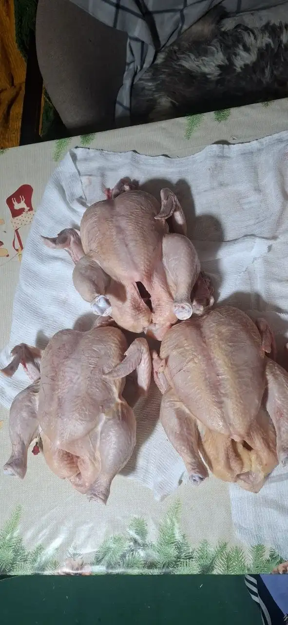 Продам мясо домашнего бройлера - Мясо и птица (Продукты питания) в Ставрополь