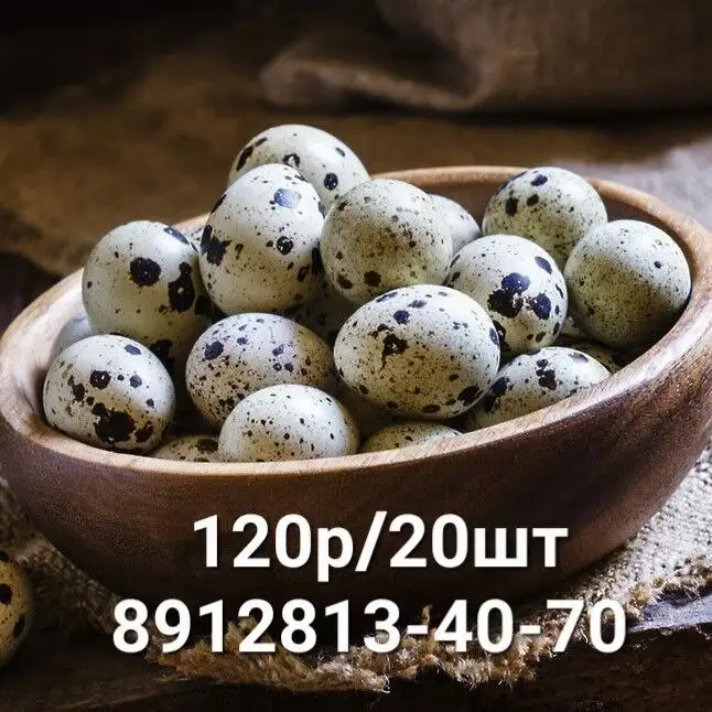 Перепелиные яйца, 120р/20шт - Продукты (Хобби и отдых) в Ставрополь