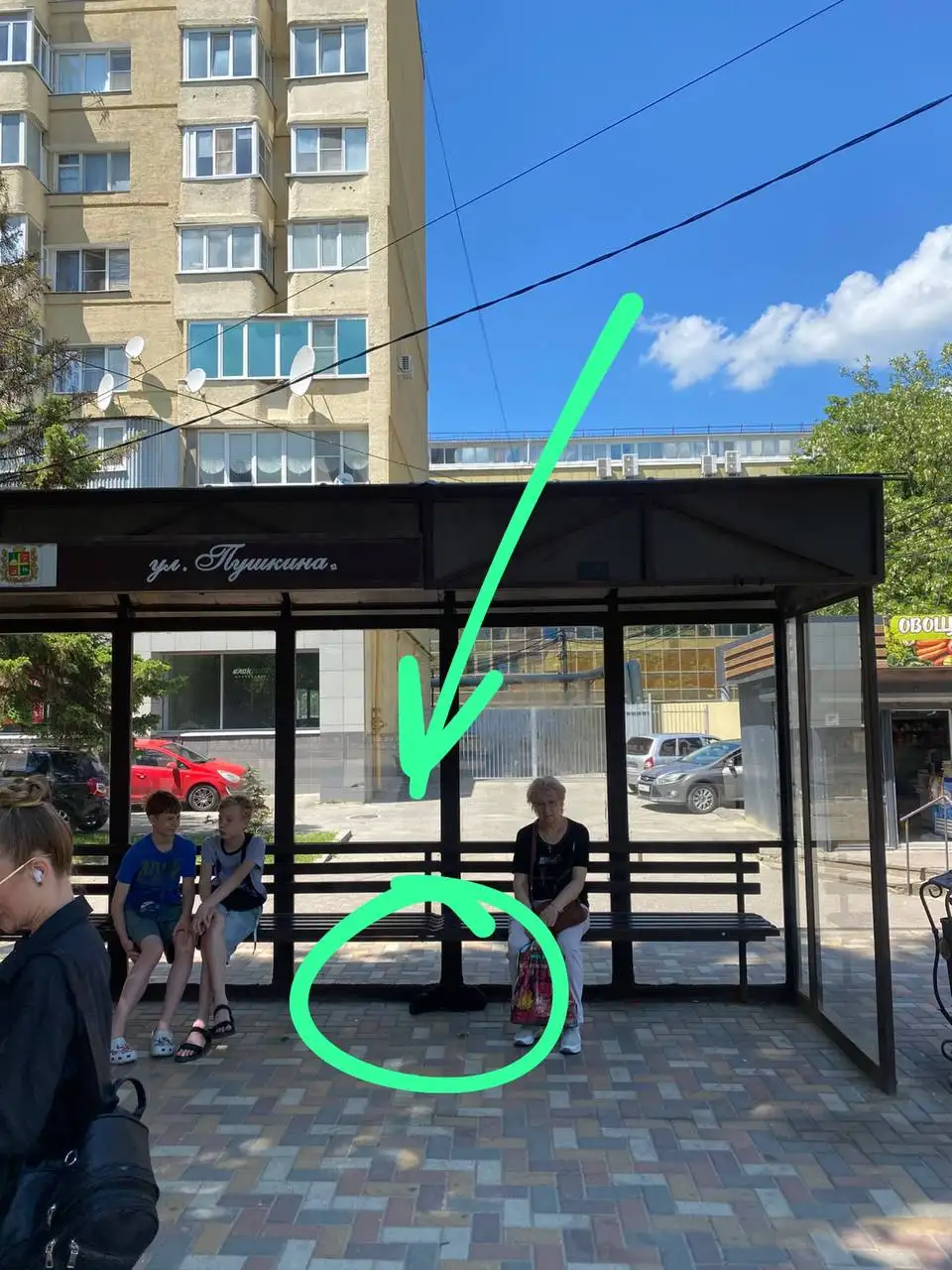 Найден щенок в Ставрополе - Кошки и собаки (Животные) в Ставрополь