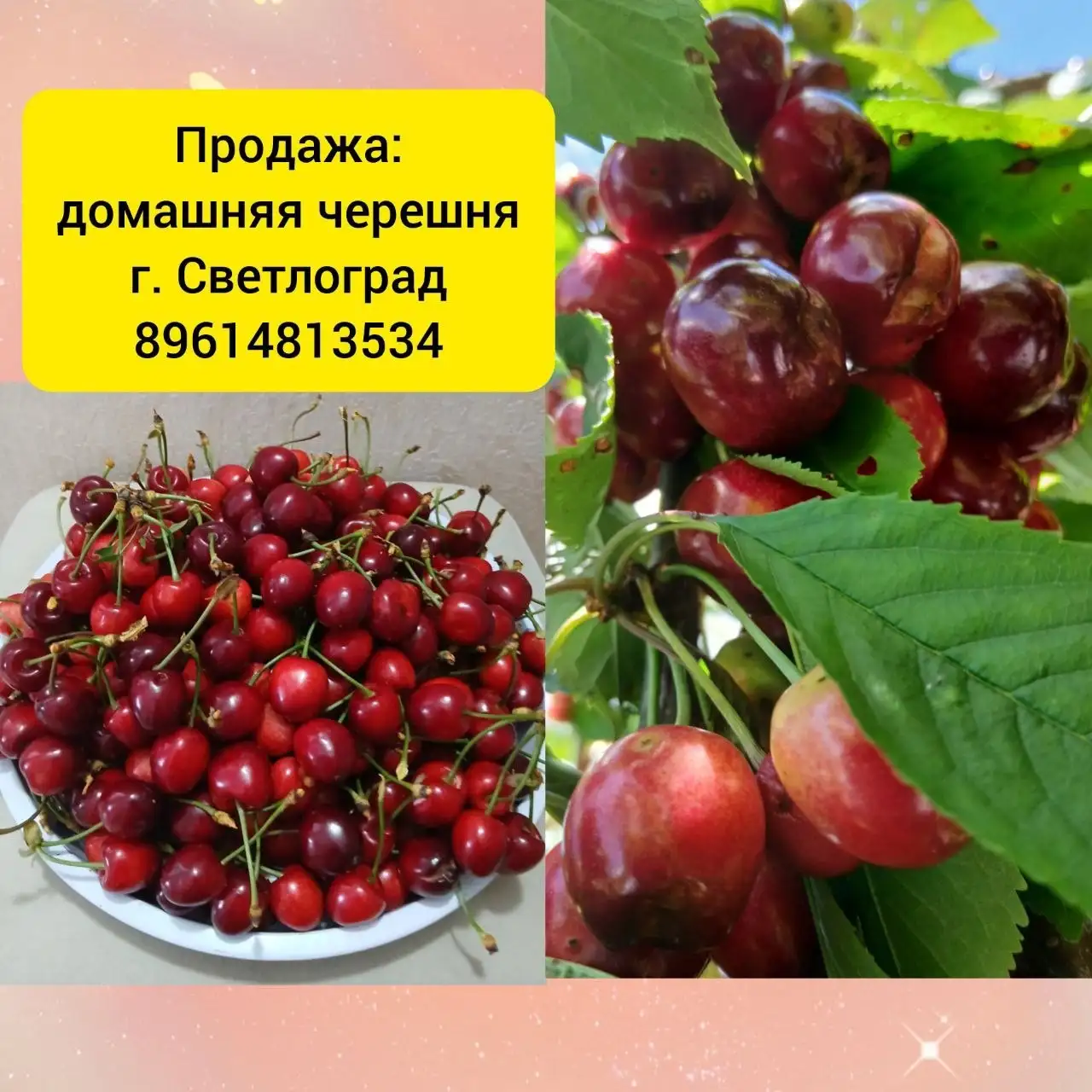 Услуги / работа / куплю / продам в Светлограде - Услуги в Светлоград