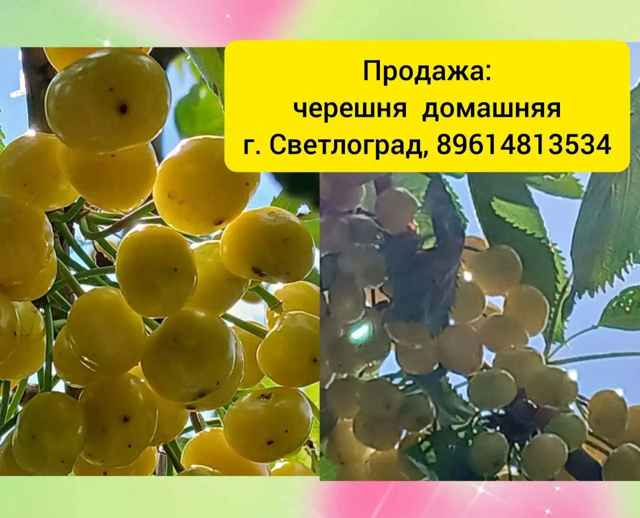 Услуги / работа / куплю / продам в Светлограде - Услуги в Светлоград