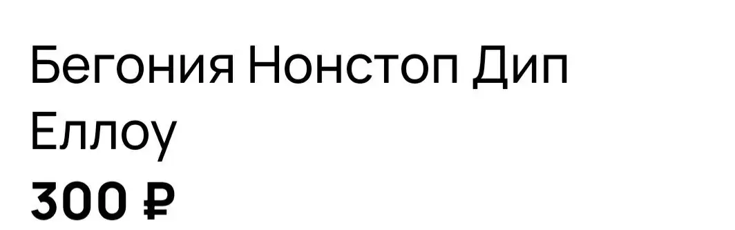 Продажа молодых кустиков бегонии - Растения (Хобби и отдых) в Ставрополь