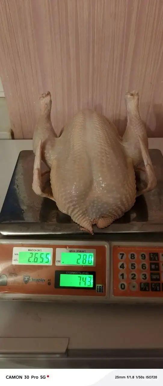 Продукция птицеводства от фермерского хозяйства - Еда в Неизвестно